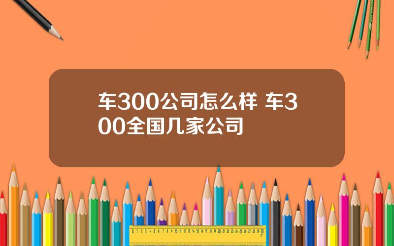 车300公司怎么样 车300全国几家公司